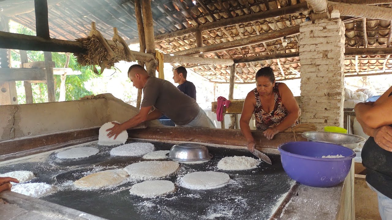TARDE A ABENÇOADA NA ROÇA FAZENDO BEIJÚ E TAPIOCA  NA CASA DE FARINHA COM A FAMÍLIA