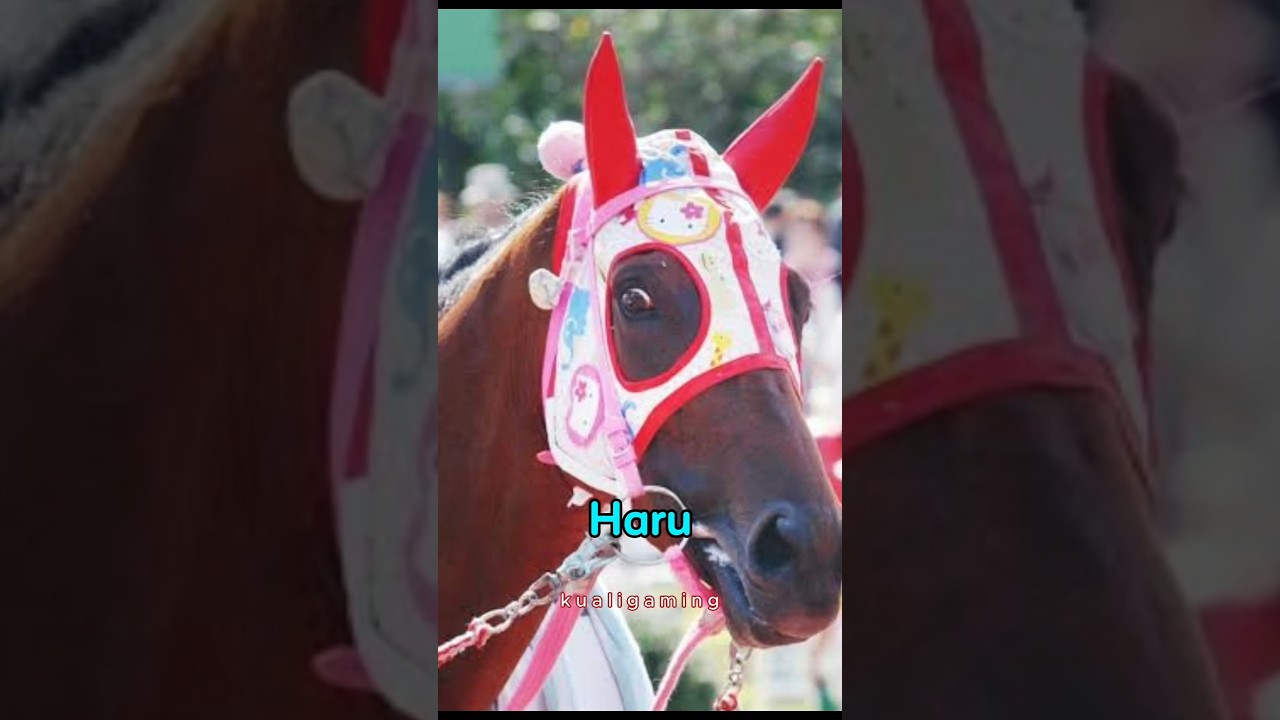 1 y 2 de agosto en Anigamers  Cola de caballo ¡Nos vemos en el Centro de Convenciones de Toluca