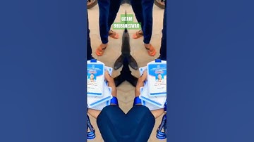 #GITAM BHUBANESWAR #GITAM #engineering #diploma #MBA #MCA #viral #admission