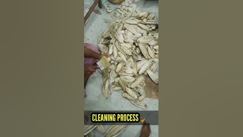 cuttlefish cleaning process