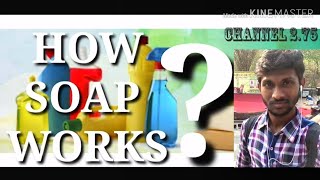साबुन कैसे काम करता है  |  How does Soap works chemistry