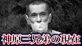 関東連合も恐れた半グレ神原三兄弟神原雅行の現在が闇金ウシジマくんのモデル