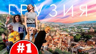 Тбилиси, Грузия 2019 | Голодовка, Чача и Вино, Уличные животные, Старый город, Грузинская еда Тбилиси, Грузия 2019 | Голодовка, Чача и Вино, Уличные животные, Старый город, Грузинская еда