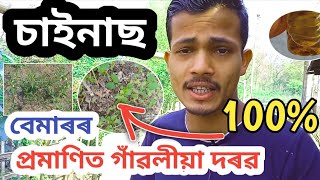 চাইনাছ বেমাৰৰ প্ৰমাণিত দৰৱ|Sinusitis Gharelu Upai Assamese|Sinus Hole Ki Karibo Lage screenshot 4