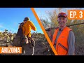 Hunting BIRDS on the BORDER | Arizona Coues &amp; Quail (EP. 3)