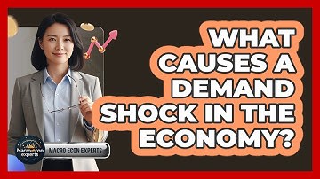 What Causes A Demand Shock In The Economy? - Macroecon Experts