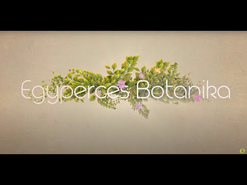 Videó: Agávé növény termesztése beltéren: Hogyan tartsunk cserepes agavéot a házban