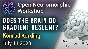 Does the Brain do Gradient Descent? Konrad Kording
