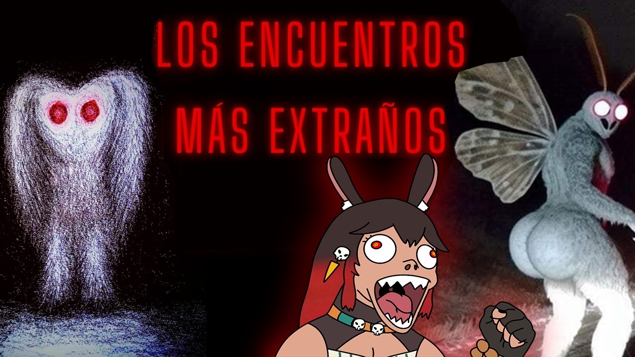 Bunny Blasty reacciona a 