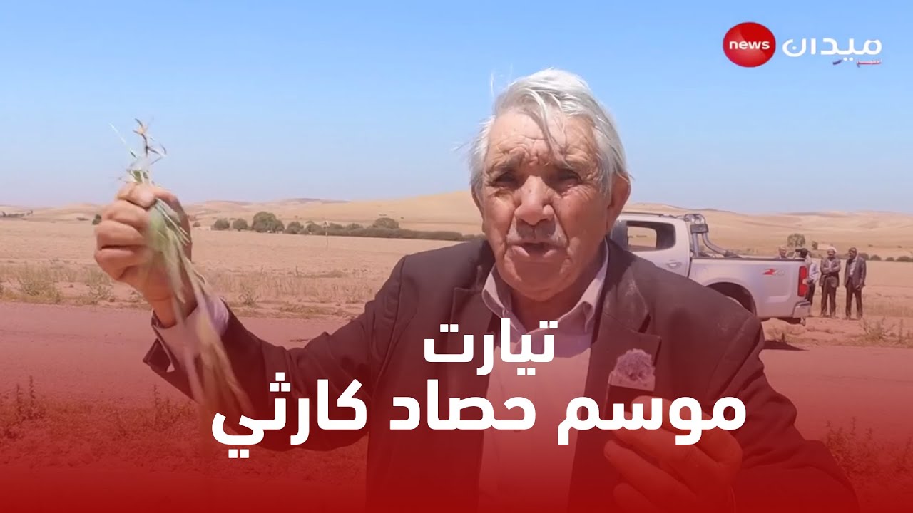 تيارت موسم حصاد كارثي وقرار رفع الغبن على الفلاحين بيد رئيس الجمهورية #news #reels #اكسبلور #الفلاحة