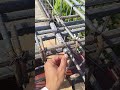 Beam reinforcement frame 🏗️🏫#errajendrasamota #siteengineer #civilengineer #dailyshorts #shorts