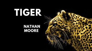 Tiger - Metro Vice | Free Background Music | Audio Library Release