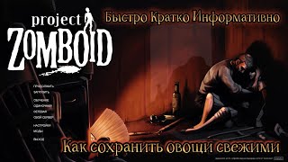 Как сохранить овощи свежими в project zomboid. Быстро, кратко, информативно.