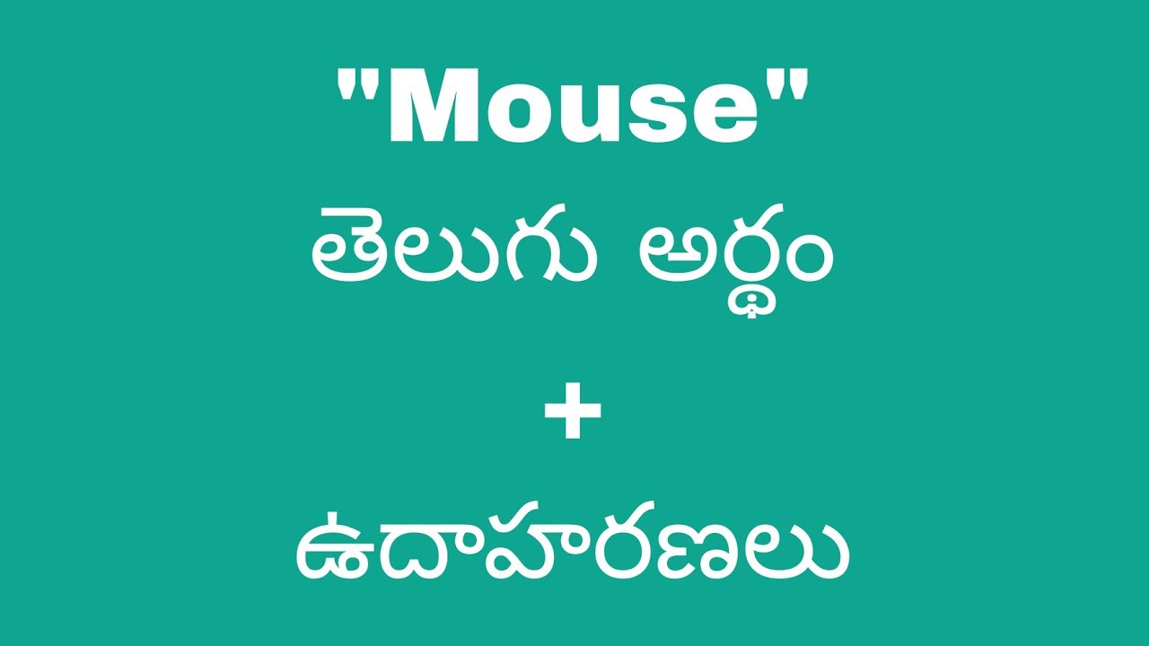 Mouse Meaning In Telugu With Examples Mouse Meaning mouse-meaning-in-telugu-with-examples-mouse-meaning