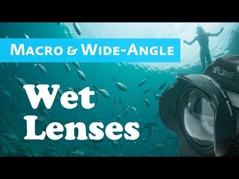 Macro and Wide-Angle Wet Lenses