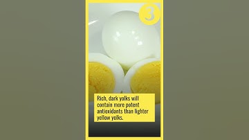 Did You Know This About Eggs #shorts