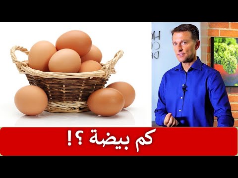 فيديو: كم عدد البيض الذي يمكنك أن تأكله؟