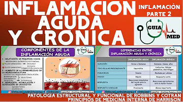 ¿Cuáles son las 3 enfermedades relacionadas con la inflamación crónica?