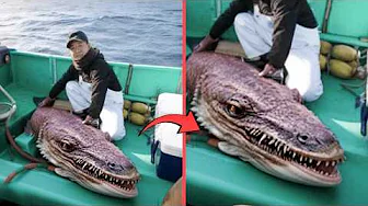 That Was Really Filmed on Camera! Incredible Animals Moments