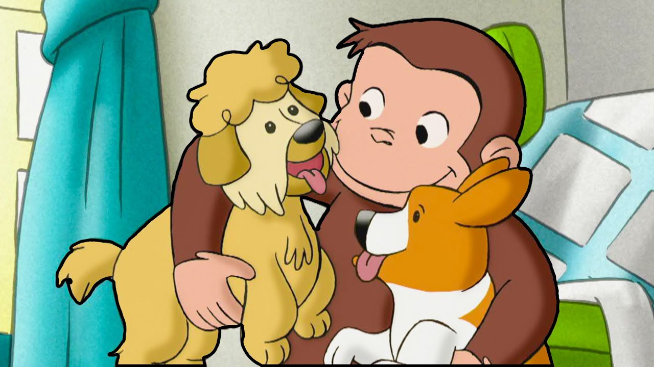 ¡La primera exhibición de perros de Jorge! | Episodios Completos | Jorge El Curioso En Español