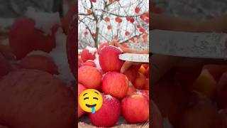 Apple Farming, Agriculture, planting, Apple Tree ?,farming  fruitcutting fruit gardening
