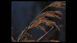 Soft Blade — Yugoslavskiy Groove (unofficial video) screenshot 4