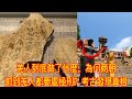 羌人到底做了什麼，為何商朝抓到羌人都要處極刑？考古發現真相