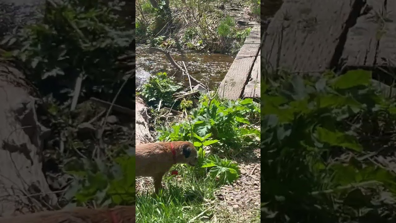 Back On Our  Favorite Trail