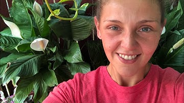 My recovery from occipital neuralgia- no surgery, no Botox, no migraine meds!