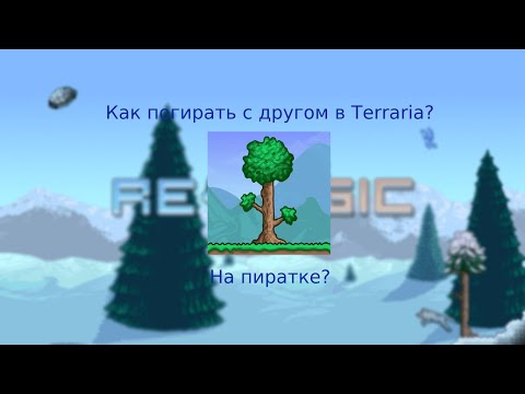 КАК ПОИГРАТЬ С ДРУГОМ В Terraria на пиратке (и на лицензии)