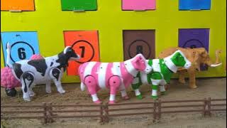 WOW ‼️ COLORFUL COW CUTTING DUCK | BIRTHING PROCESS OF COW BUFFALO GOAT ZEBRA CAMEL