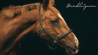 Gold | Equestrian Music video