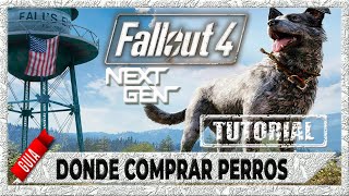 donde comprar perros🎮| Fallout 4 NEXT GEN gameplay español