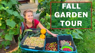 We harvested 128 lbs. of food in one week: Urban Garden Tour | Nora's Ark