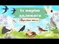 Із вирію далекого ПЕРЕЛІТНІ ПТАХИ Із вирію далекого ПЕРЕЛІТНІ ПТАХИ