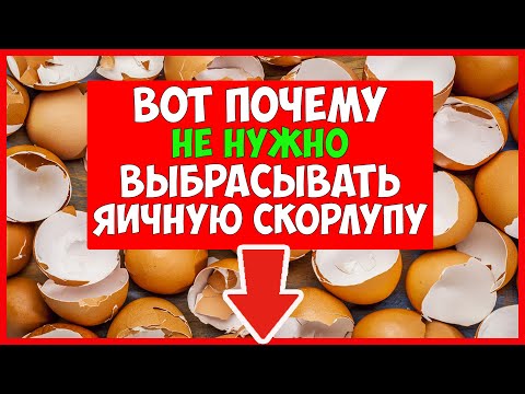 А ВЫ ЗНАЛИ?