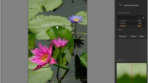 Nik Software original training -- Viveza Introduction