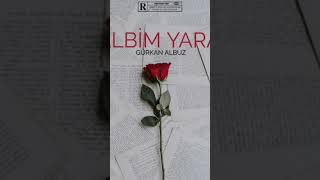 Gürkan Albuz Kalbim Yaralı