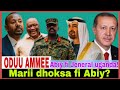 Marii Cufaa Fi Abiy Jeneralli Abiy Irratti Erdogan Imala Isaa 16 2 2026 AGM