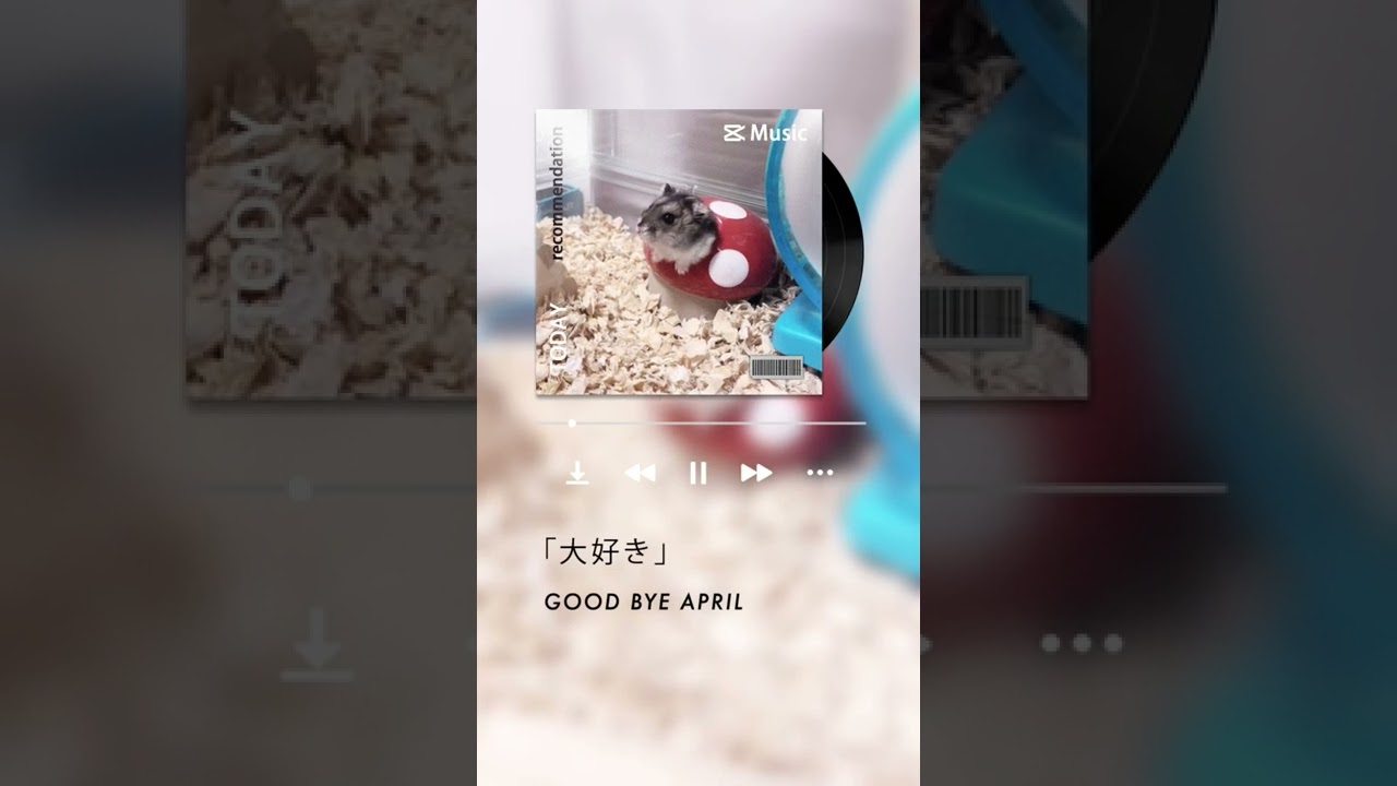 大好き」/ GOOD BYE APRIL from 2nd Album 