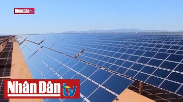 Tháo gỡ vướng mắc về tài chính xanh cho phát triển bền vững | Kinh tế tuần