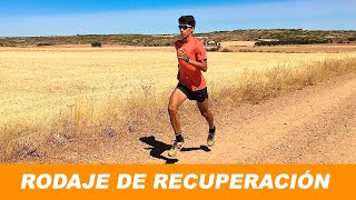 Entrenamiento regenerativo-recuperación / Jaume Albarañez