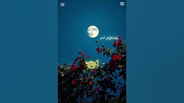 ألم يروا أنا جعلنا اليل ليسكنوا فيها:صوت:ياسر الدوسري)سورة(النمل)#quran #اكسبلور #foryou #لايك#fyp#