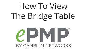 How To View The Bridge Table