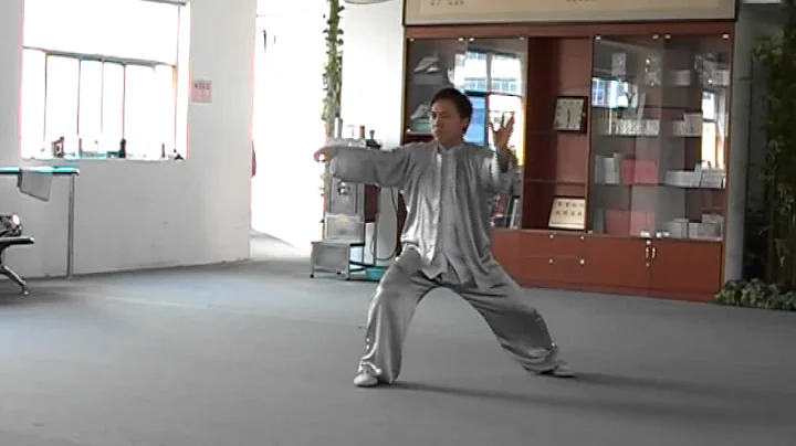 Chen Bin Chen Taiji Laojia Yilu - Old Frame 1 (one...