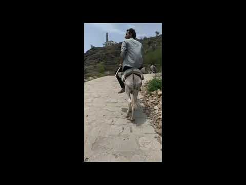 مقدر لي ومكتوب اعيش العمر متعوب