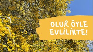 Olur Öyle Evli̇li̇kte Neye Sabredip Nerede Taviz Vermemek Gerektiğinin Ayrımını Yapmak