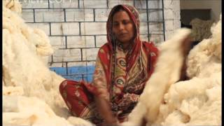 Starling Silk Mills Pvt.ltd.