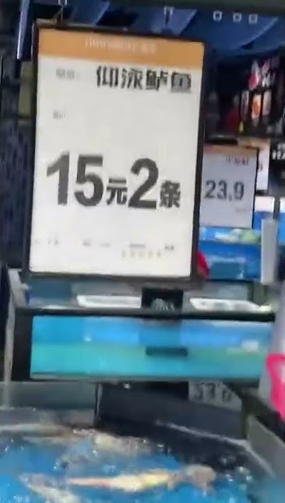 Backstroke fish | 仰泳鲈鱼