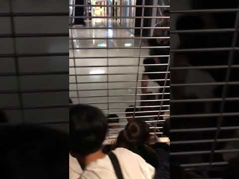 Cheap Yeezy Static 350 Non Reflective pstz.org.pl